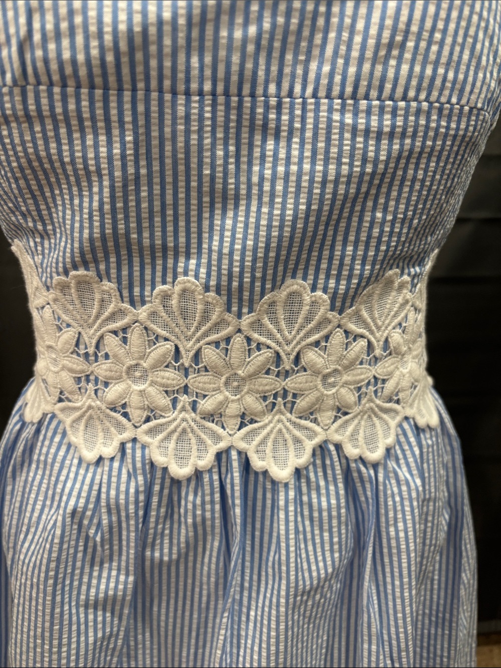 NWT Lilly Pulitzer Tess Blue Seersucker embroidered dress - Picture 6 of 11